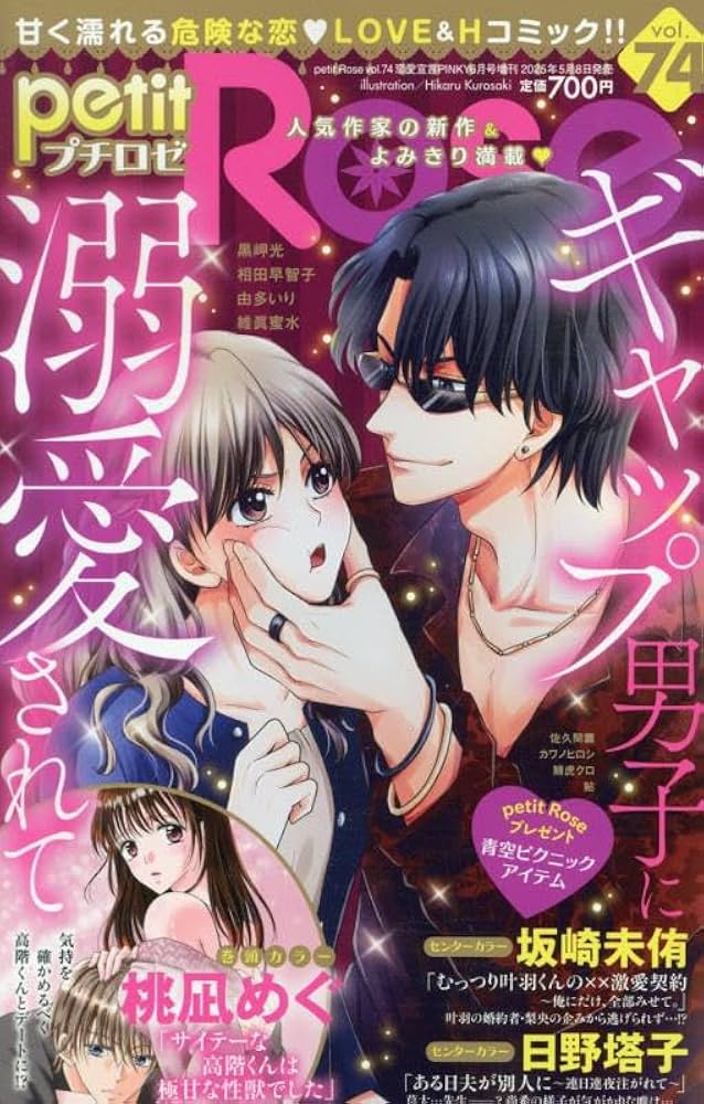 【ほぼ未開封】アシェット 恋愛小説の世界 まとめ売り 異世界恋愛小説セット 6冊 - メルカリ
